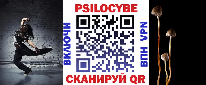Псилоцибиновые грибы прущие грибы  магазин  наркотиков  Зверево 